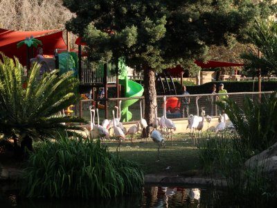 Güney Afrika Günlüğü - Kuş Cenneti