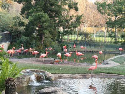 Güney Afrika Günlüğü - Kuş Cenneti